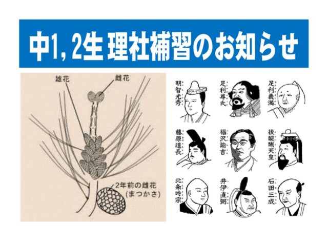 中１生，中２生理社補習授業を行います。